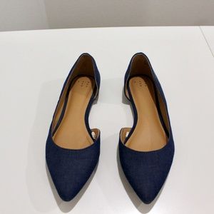 Navy Flats A New Day Pointed Toe Shoes